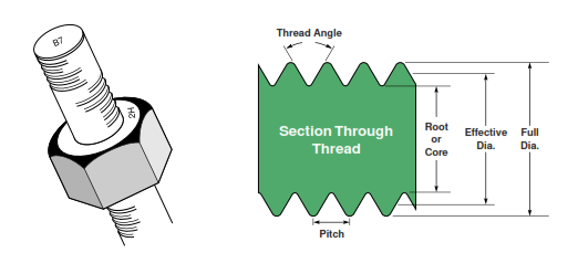 Bolt Thread