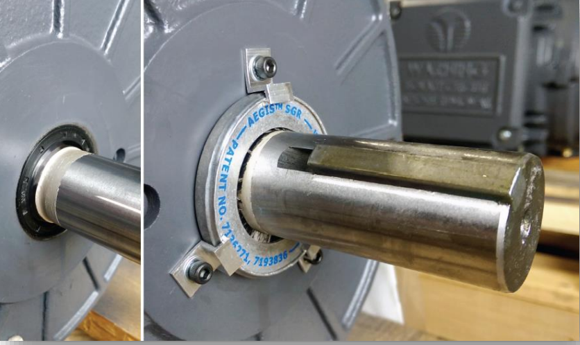 Shaft current protection in MV Motor