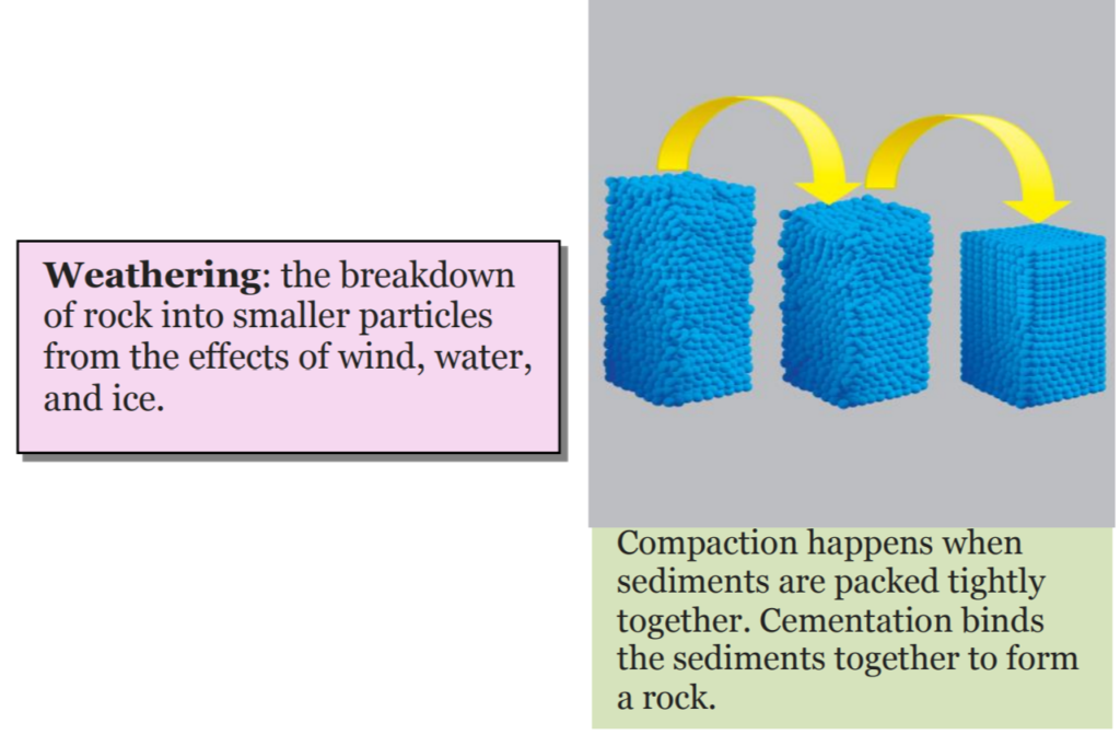 The Formation of Fossil Fuels