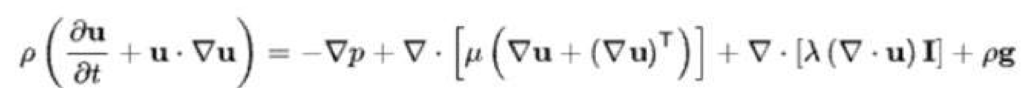 Euler Equation Derivation and Formula