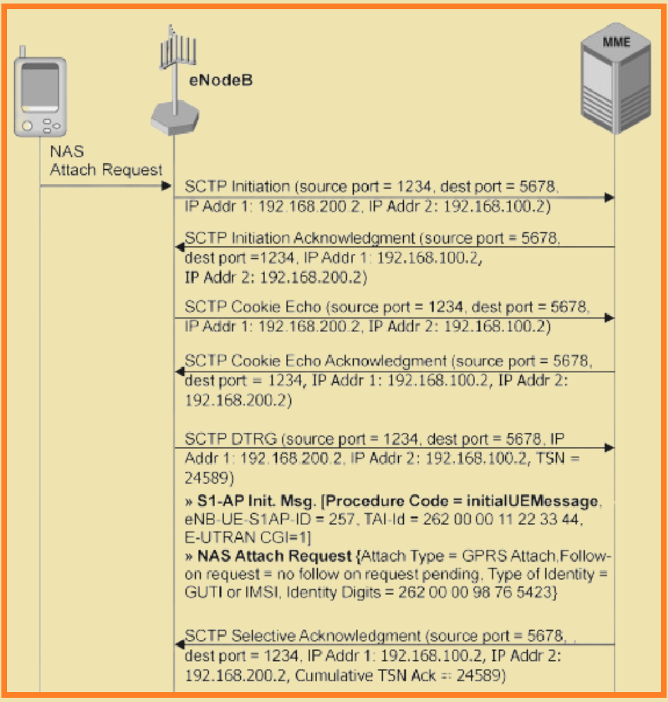 SCTP Example in LTE NAS Signaling.