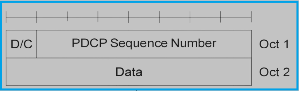 Format of PDCP data PDU for transport of user plane information. 