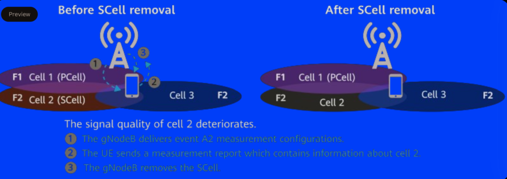 SCeII Removal.